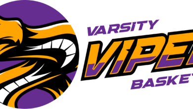 vipers basketball