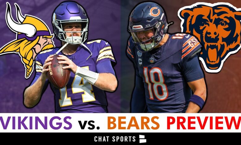 minnesota vikings vs chicago bears match player stats