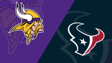 houston texans vs minnesota vikings match player stats